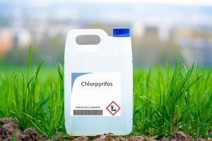 9-29-26-Chlorpyrifos-and-Parkinson-Lawsuits-300x200