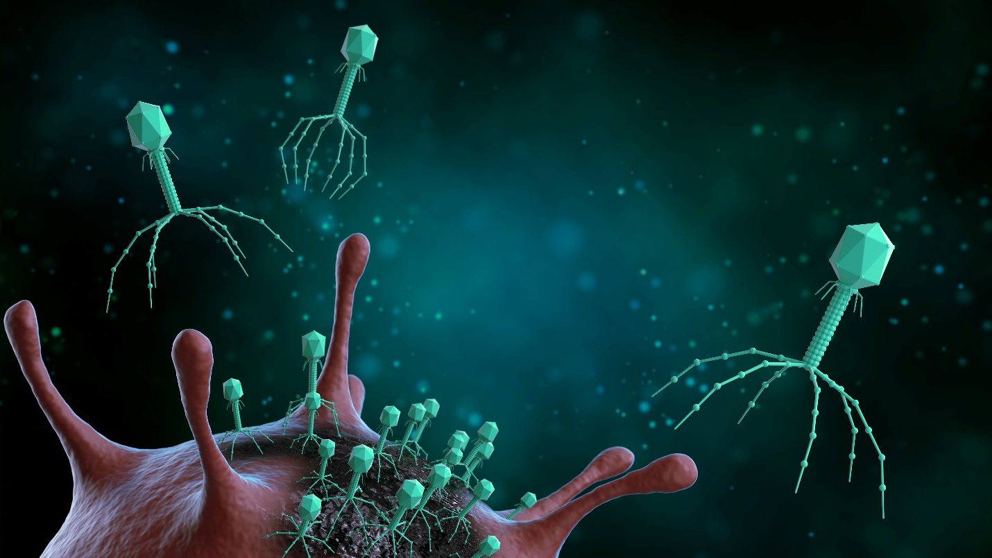 BUFFALO SCOPE INFECTION LAWSUITS