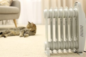 A cat and a space heater