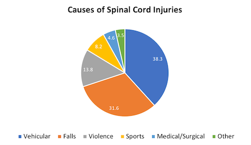 Spinal Cord Injury Statistical Center