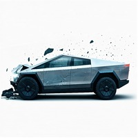 Buffalo, New York: Cybertruck Lawsuits