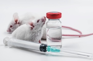 Mice Exposure