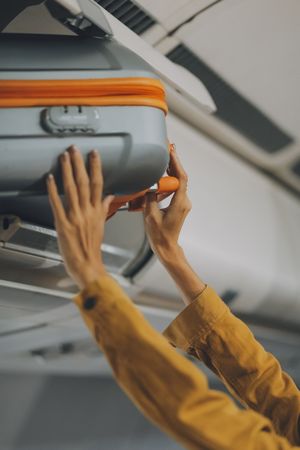 BUFFALO LUGGAGE FALLING INJURY