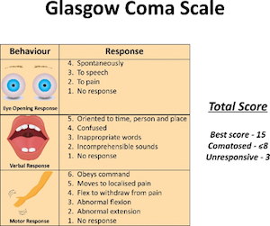 Glasgow Comma Scale