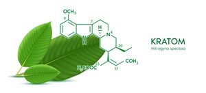 Green kratom leaves beside the plant&rsquo;s chemical structure and label &ldquo;Kratom, Mitragyna speciosa,&rdquo; combining botanical imagery with a scientific, informative tone.