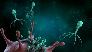 Syracuse New York: Scope Infection Lawsuit