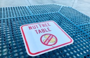 Nut Free Table
