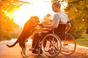 Person on a wheelchair and a dog
